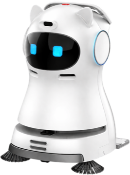 Cleaning Bot C30